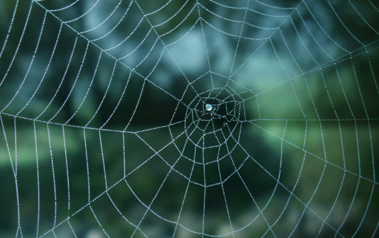 vernetzt_534x336px